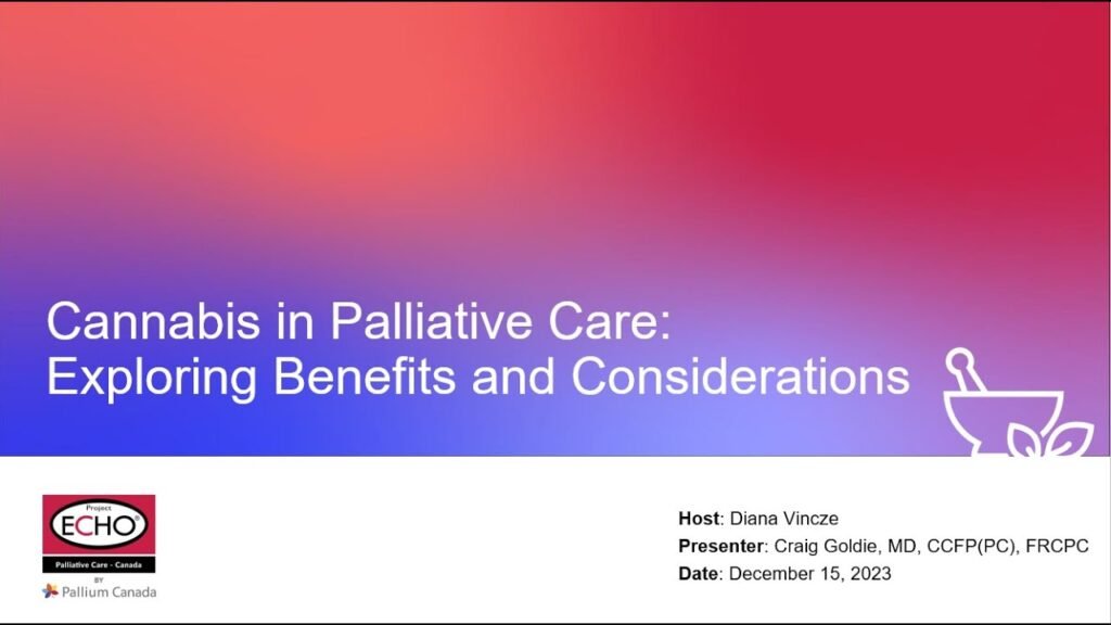 Choosing Standalone Tech Means Understanding Benefits and Crucial Considerations